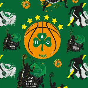 Τετράδιο Ριγέ Β5 - ΠΑΟ Μπάσκετ 2